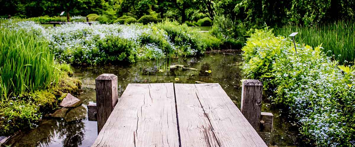 5 Ways To Preserve The Natural Habitat In Your Garden Garden Benches Blog