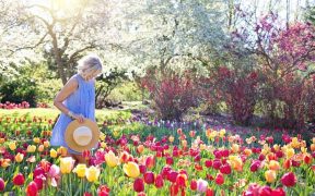 norht facing gardenw ith woman walking amongst flowers