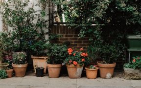 planters used to blend boundaries in a small garden