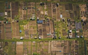 Birds eye view of an allotment