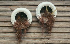 tyre planters on wall