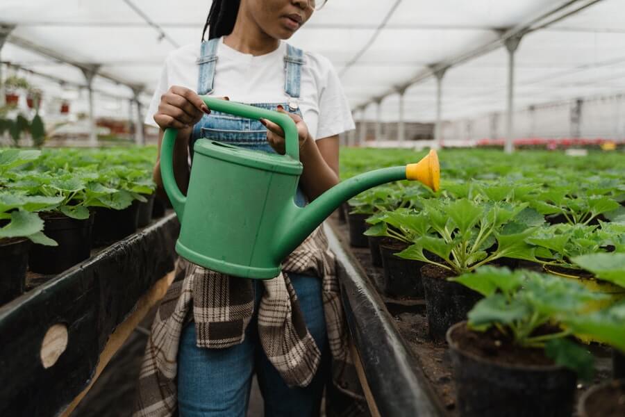 woman-watering-plants