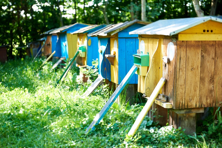 row of bug hotel bee hives