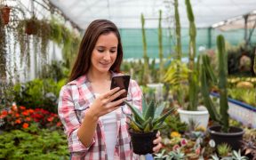 garden planning apps