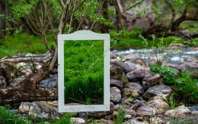 garden mirror ideas