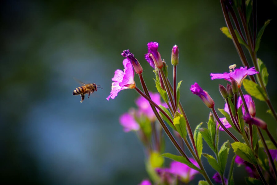 fill in the gaps for bug hotel