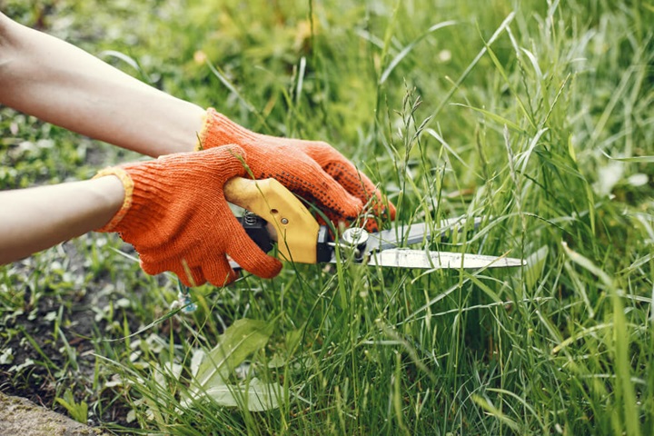 handlings clipping when mowing the lawn