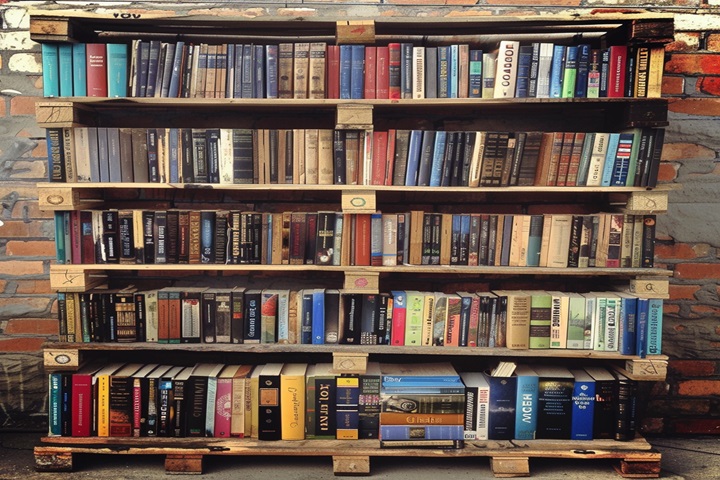 bookshelf for pallet furniture ideas