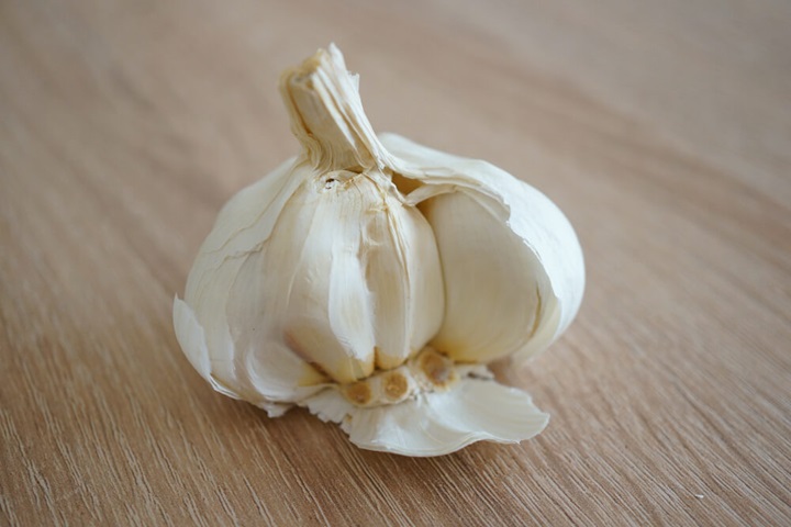 how to get rid of slugs with garlic