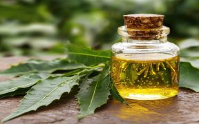 neem oil for plants