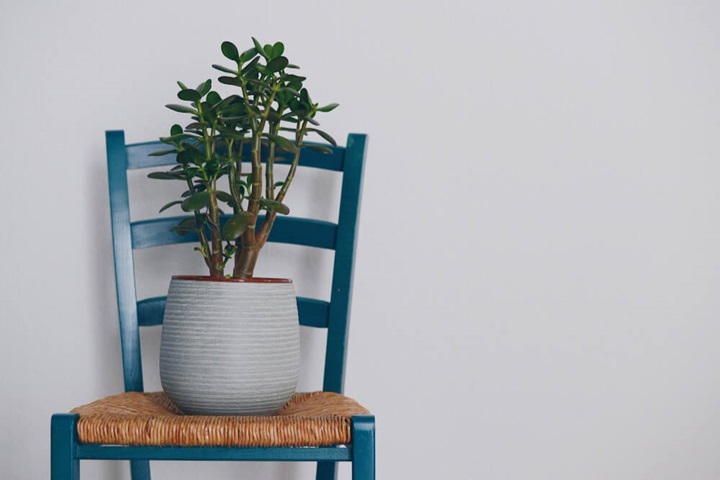 recycled garden ideas wooden chair