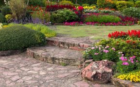garden design ideas