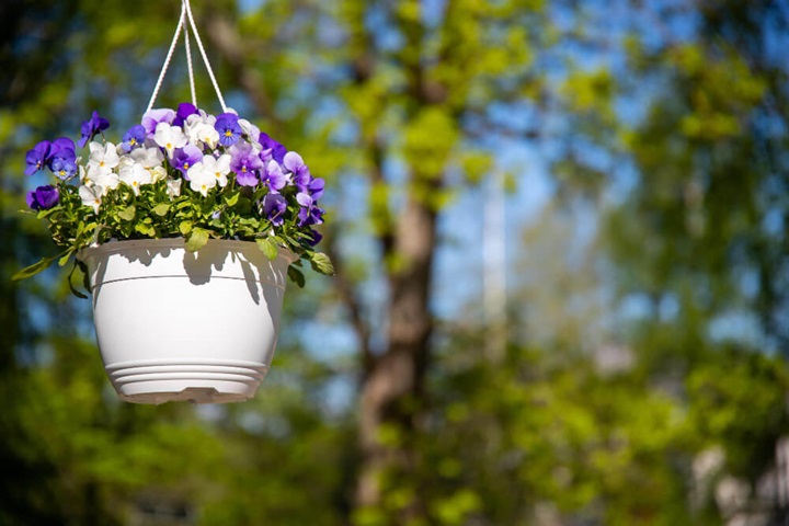 how to make a small garden look bigger vertical gardening