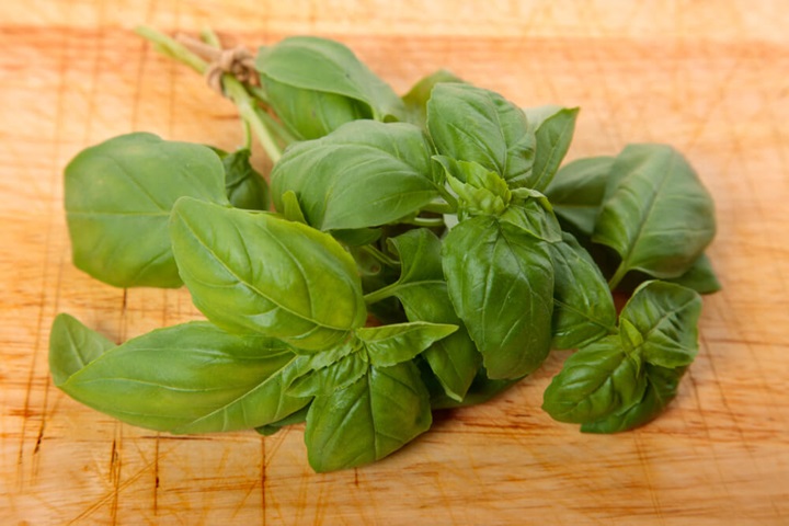 basil wasp repellent plants