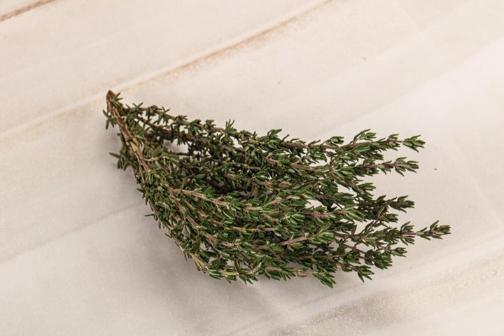 wasp repellent plants thyme