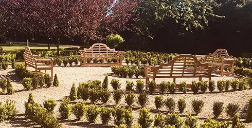 Commercial Wooden Benches