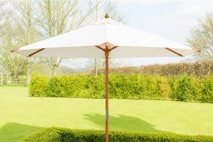 cream 2.5 dia parasol
